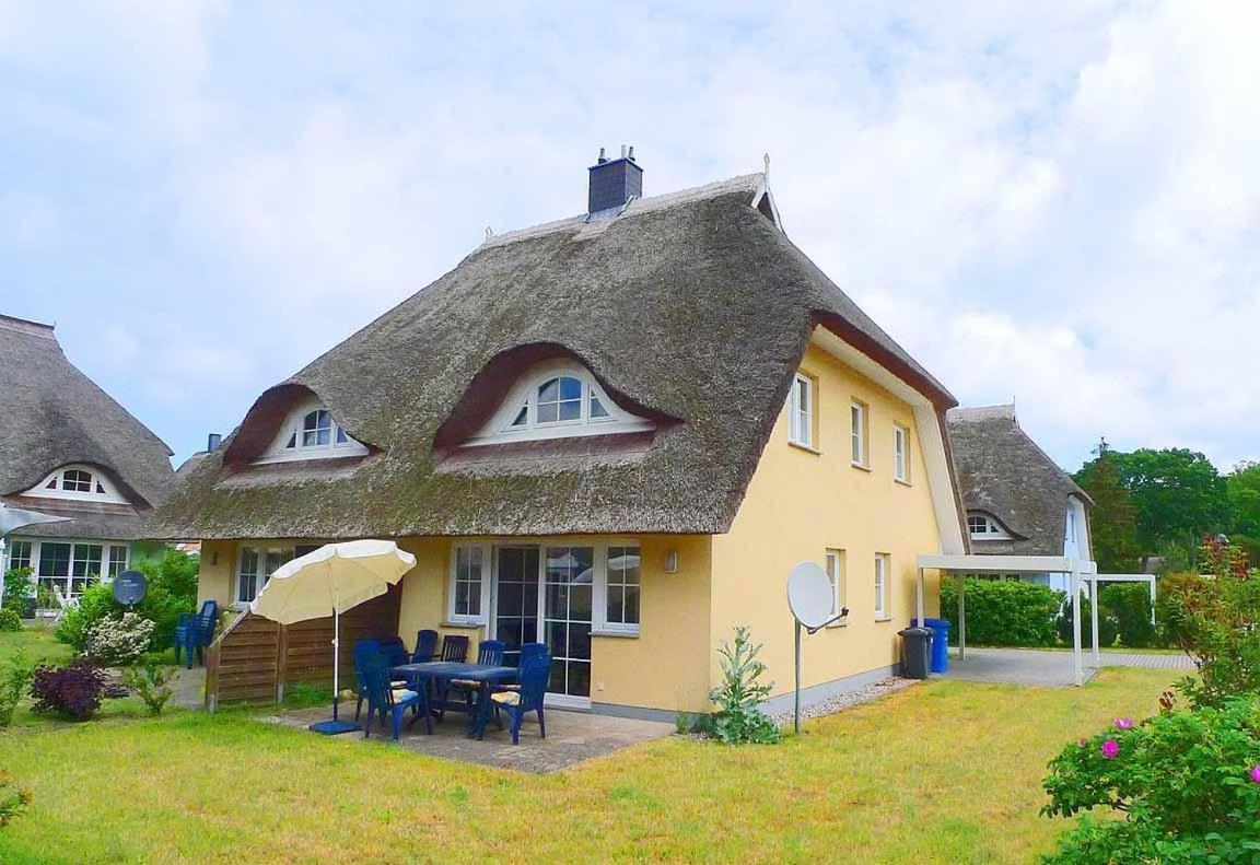 Ferienhaus An Der Alten Waldschaenke Ws-11A Born Exteriör bild