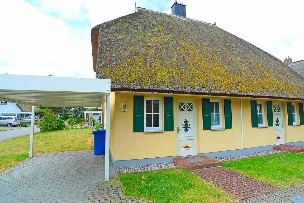 Ferienhaus An Der Alten Waldschaenke Ws-11A Born Exteriör bild